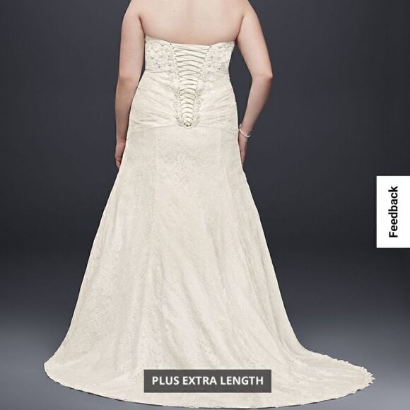 Davids Bridal Ivory Lace Strapless Plus Size Wedding Dress and Matching Veil - Picture 3 of 5